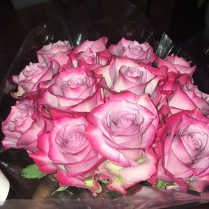 Meet your Posher, Emiley